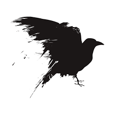RavenCrest Tactical Coupons & Promo Codes
